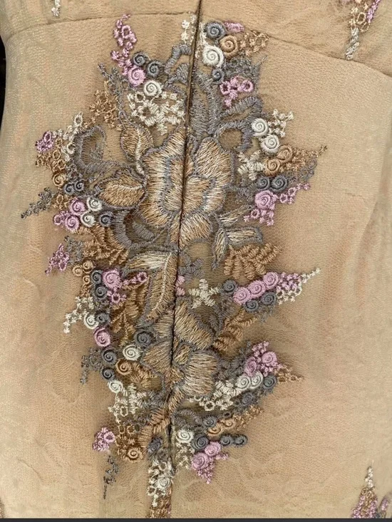 Altar'd State Blush Embroidered V-Neck Maxi Dress - Picture 5 of 6